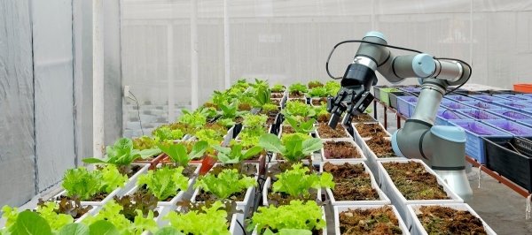 In Iron Hands: New Robots in Agriculture