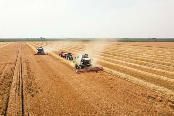 Harvest start: Ukraine is setting a new grain record